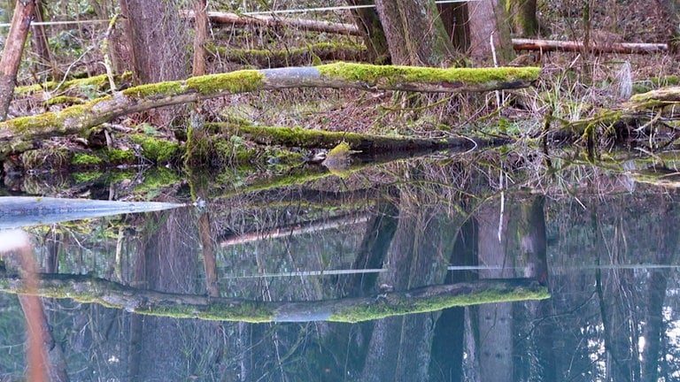 Blaues Seele, Karsee