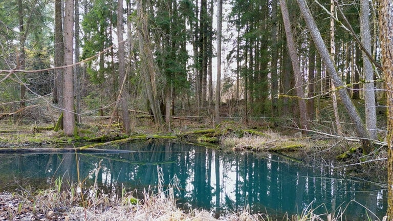 Blaues Seele, Karsee