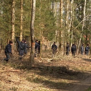 Polizisten durchsuchen ein Waldstück.