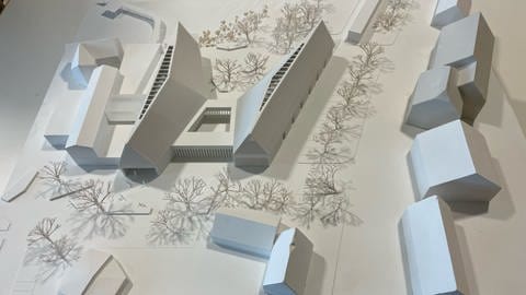 Plan Neubau Pfahlbaumuseum