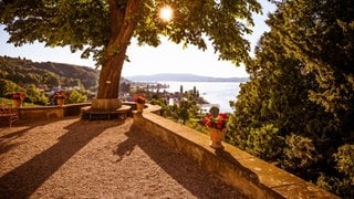 Aussichtsterrasse Napoleonschloss, Ausstellung "Die Gärten Kaiser Napoleons III"