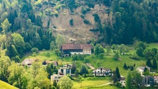 Der Hangrutsch bei Hörbranz (Vorarlberg).