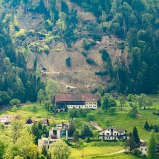 Der Hangrutsch bei Hörbranz (Vorarlberg).