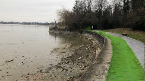 Uferbereiche der Stadt Lindau im Bodensee