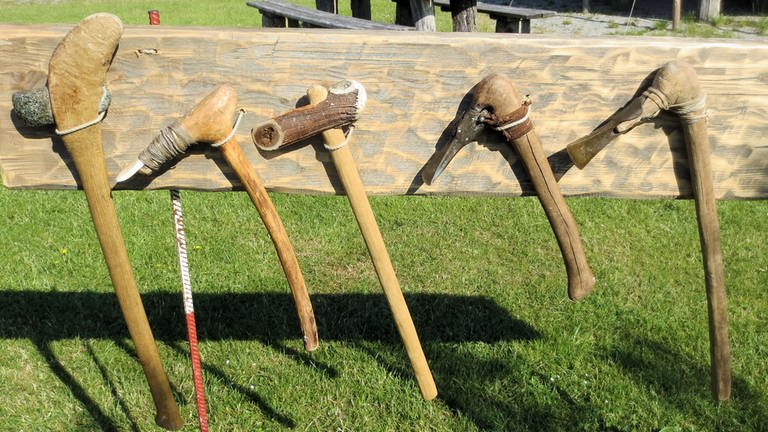 Bau eines Einbaumes im Federseemuseum bad Buchau