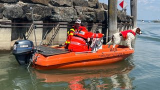 Spezielle Wassersuchhunde waren auf dem Bodensee im Einsatz.