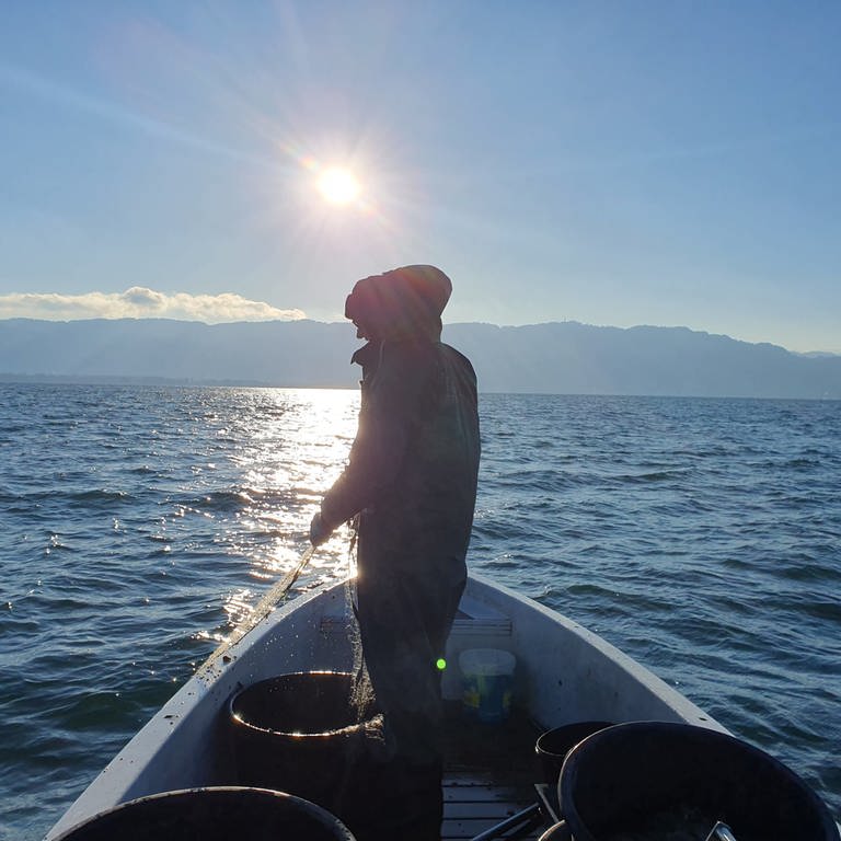 Ein Fischer auf dem Bodensee. Er holt im Sonnenaufgang seine Netze ein.