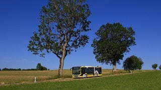 Bodo - Busverkehr im ländlichen Raum