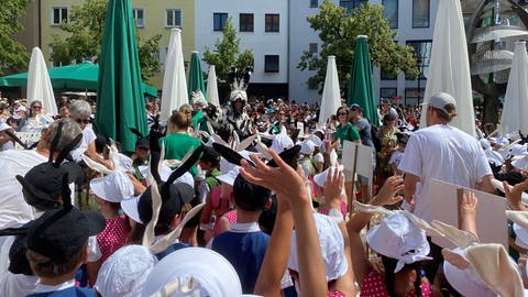 Der Seehase wird in Friedrichshafen von den Erstklässlern begrüßt.