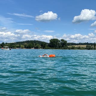 Beim Gnadensee-Schwimmen vor Allensbach absolvieren die Teilnehmenden eine 1,5 Kilometer lange Strecke.