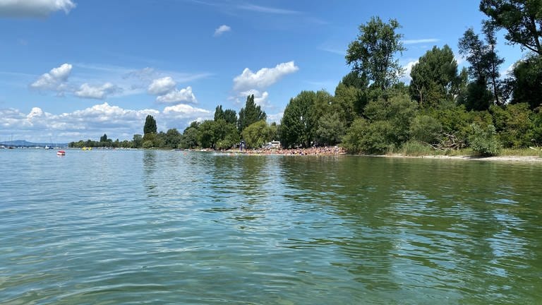 In der Ferne sieht man den Start des diesjährigen Gnadensee-Schwimmen vor Allensbach.