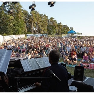 Einhaldenfestival in Fronhofen