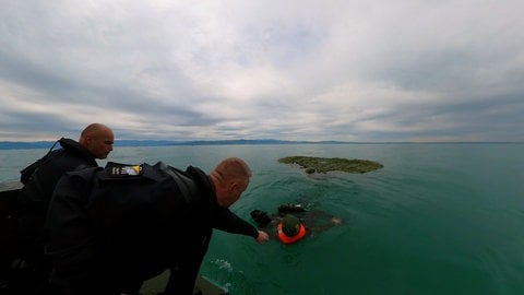 Fallschirmspringer über dem Bodensee