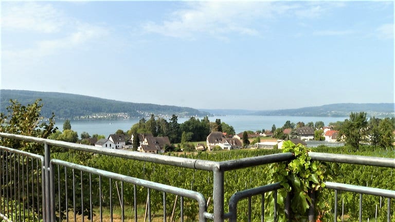 Insel Reichenau