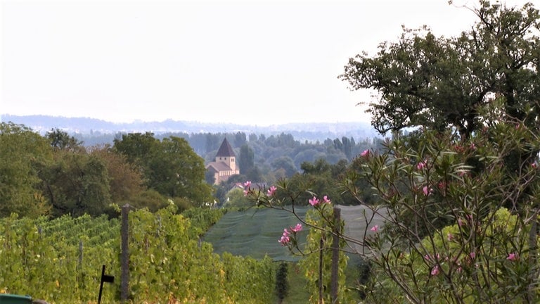 Insel Reichenau