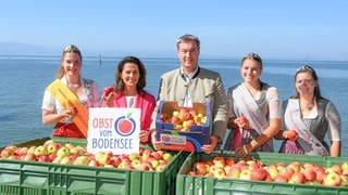 Markus Söder mit einer Kiste voller Äpfel vor dem Bodensee