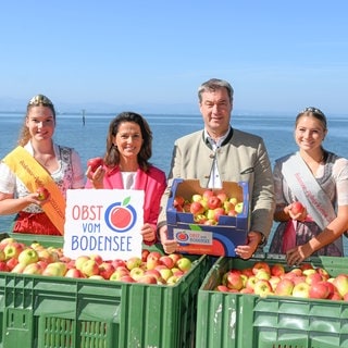 Markus Söder mit einer Kiste voller Äpfel vor dem Bodensee