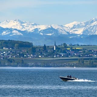 Ein Motorboot fährt auf dem Bodensee. Im Hintergrund sind die Schweizer Alpen zu sehen. 