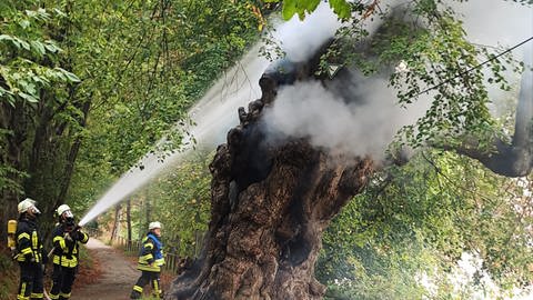 Baumdenkmal Linde in Erolzheim brennt