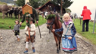 Willi Wetzel aus Waldburg bei der Viehscheid im Allgäu