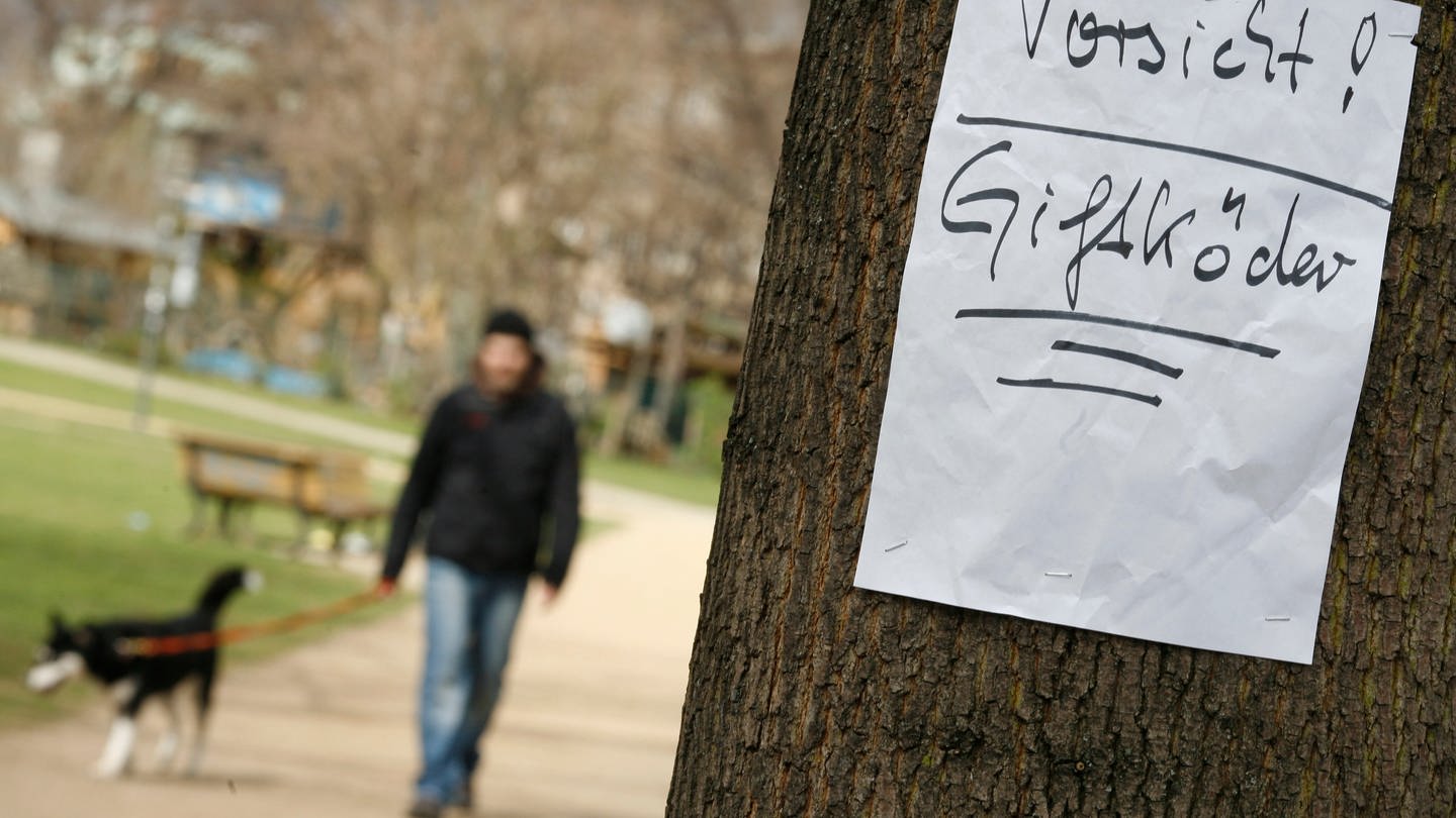 Ein Plakat an einem Baum warnt vor Giftködern