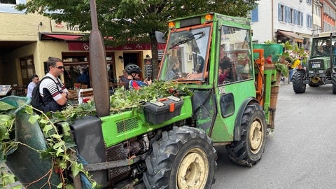 Letzte Traubenannahme in der Unterstadt beim Winzerverein Meersburg. 