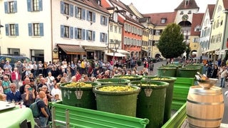 Letzte Traubenannahme in der Unterstadt beim Winzerverein Meersburg. 