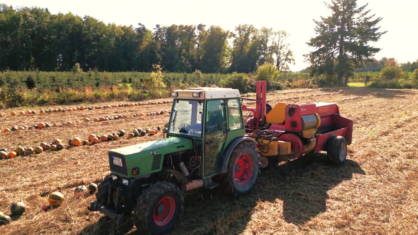 Traktor mit Vollernter für Kürbiskernöl vom Bodensee