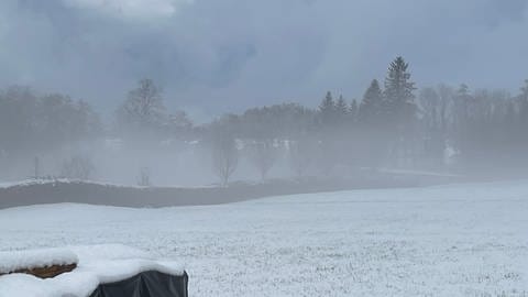 Schnee liegt auf einer Wiese bei Amtzell im Allgäu.