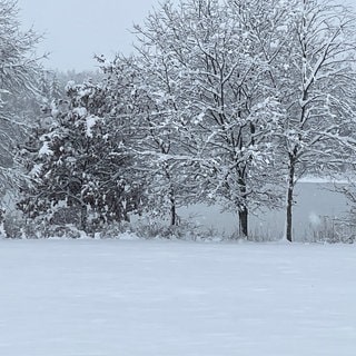 Bäume und Wiesen sind verschneit, dahiner liegt ein Weiher. In der Region Allgäu-Oberschwaben hat es starke Schneefälle gegeben.