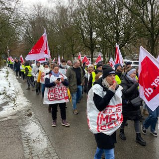 Teilnehmerinnen und Teilnehmer eines Warnstreik-Protestzugs ziehen mit ver.di-Flaggen durch Ravensburg.