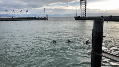 Schwimmer im Hafenbecken in der Nähe des Moleturms in Friedrichshafen