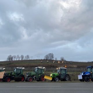 In Hagnau protestieren die Landwirte mit ihren Traktoren