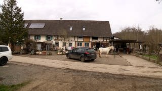 Eine Straße führt mitten durch einen Bauernhof in Allensbach.