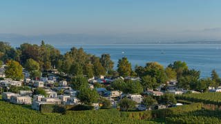 Wohnwagen und Wohnmobile stehen auf dem Campingplatz in Hagnau. Im Hintergrund ist der Bodesee zu sehen. 