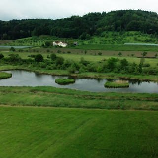 Der Heinz-Sielmann-Weiher in Owingen-Billafingen ist heute ein Artenparadies.