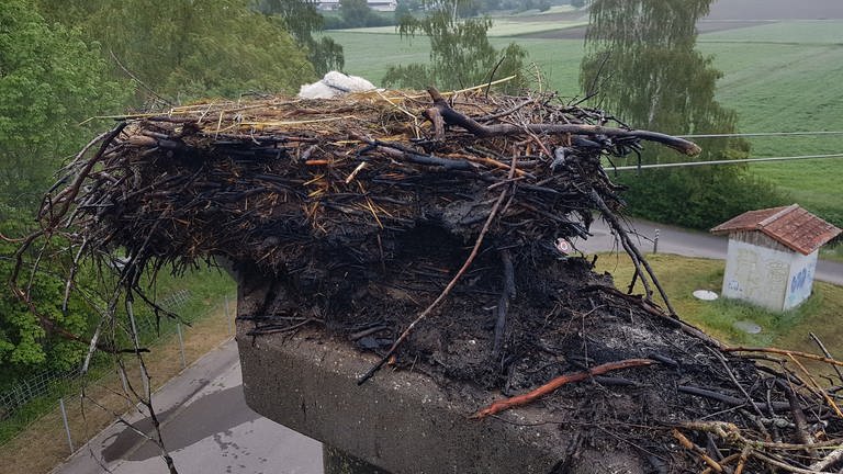 Das verbrannte Storchennest in Ostrach