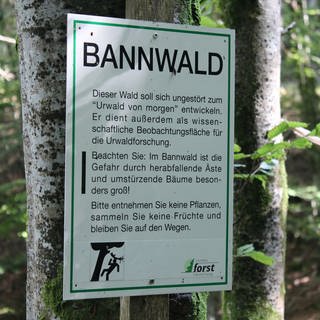 Hinweisschild auf einen Bannwald