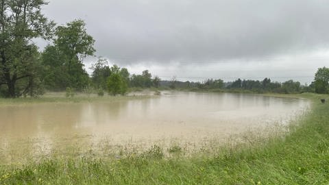 In das Taufach-Fetzachmoos fließen Millionen Liter von Wasser. 