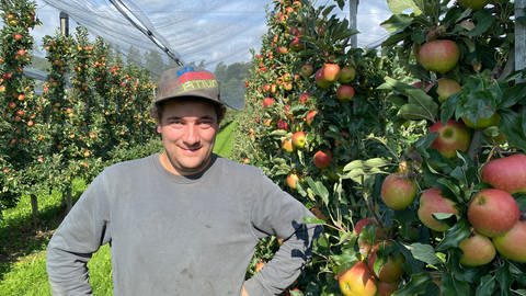 Christoph Gierer neben Apfelbaum und Äpfeln in Oberdorf