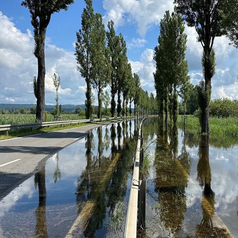 Hochwasser am Bodensee - der Damm in Radolfzell-Moos ist zur Hälfte überspült.