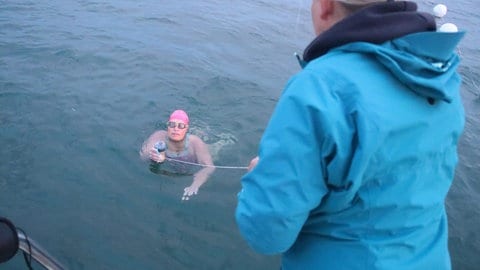 Trinken und Essen nur im Wasser: Iris Ashman auf dem Weg von Bodman nach Bregenz.