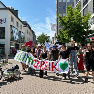 Fridays for Future-Demo in Friedrichshafen