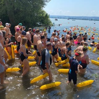 Bei schönstem Sommerwetter: Massenstart beim Gnadenseeschwimmen.