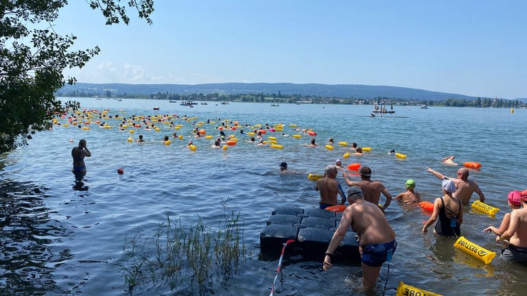 Gut gelaunt gemeinsam ins Wasser - Massenstart beim Gnadenseeschwimmen 2024.