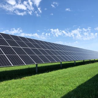 Eine Agri-Photovoltaikanlage in Schlier im Kreis Ravensburg.