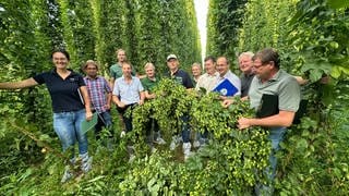 Menschen mit Klemmbrettern halten Hopfenpflanze in Tettnang