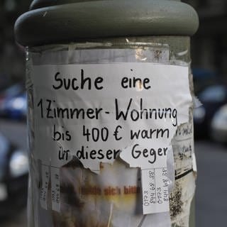 Ein Wohnungsgesuch hängt an einer Säule neben einer Straße. 