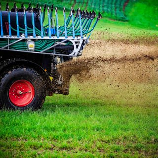 Ein Landwirt bringt mit einem Traktor Gülle aus. 