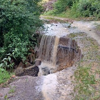 Im Juni brach ein schweres Unwetter über Markdorf herein und zerstörte Wege am Gehrenberg.